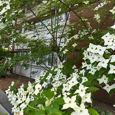 Appartement In -benrath Düsseldorf